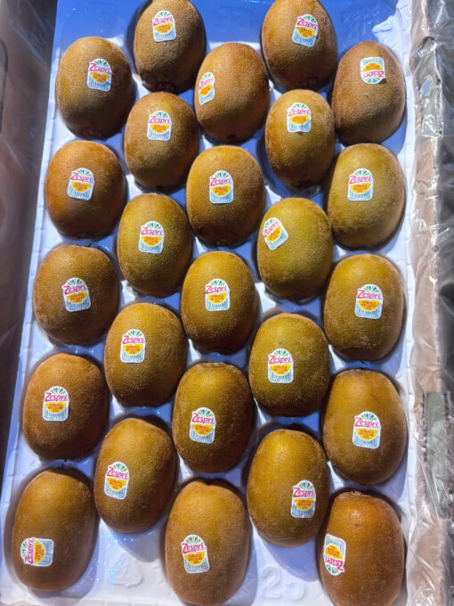 Kiwi 35kg size 25