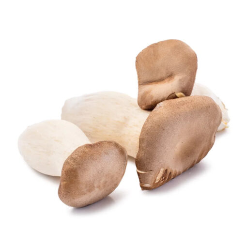 Nấm Đùi Gà Hữu Cơ 1 từng cái