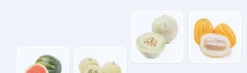 Trái dưa