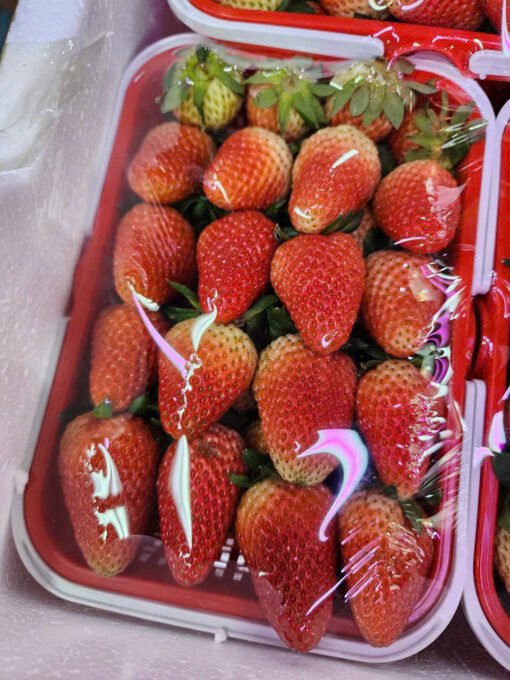 Dâu rổ cuộn xanh 1kg