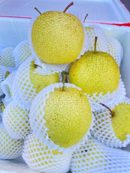 Lê Xanh Hà Giang 1kg