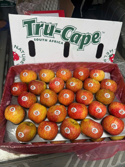 Táo Nam Phi Trucape 1 thùng 18kg