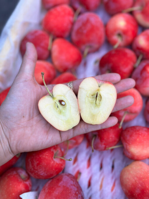 Táo Cherry 4,9kg